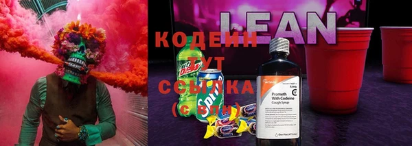 стаф Аркадак