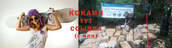 стаф Аркадак