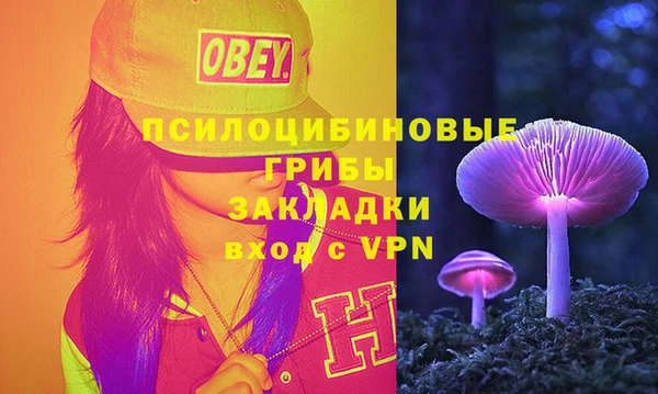 стаф Аркадак