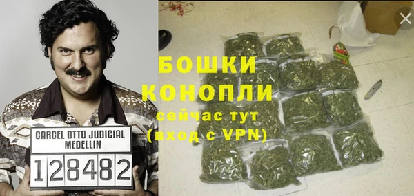 сатива Баксан