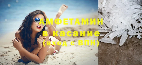 стаф Аркадак