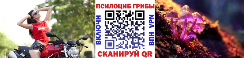 Галлюциногенные грибы Psilocybe  купить   Ступино 